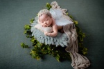 Newborn baby material picture desktop wallpaper