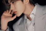 Cai Xukun handsome photo pictures in cold gray suit