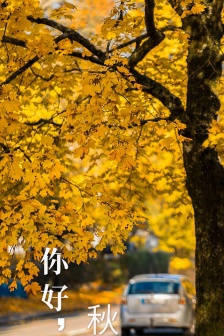 Hello autumn beautiful mobile wallpaper pictures