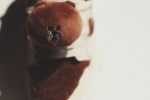 Partial details of the Li-Ning co-branded Brown Bear