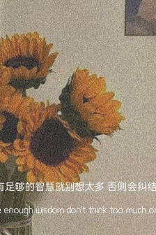 Beautiful flowers emotional text graphics material