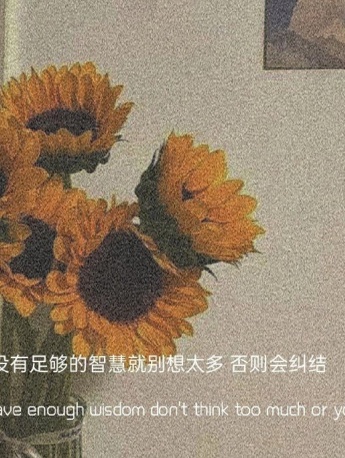 唯美花朵情感文字圖文素材