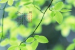 March 2022 HD Eye Protection Calendar Wallpaper