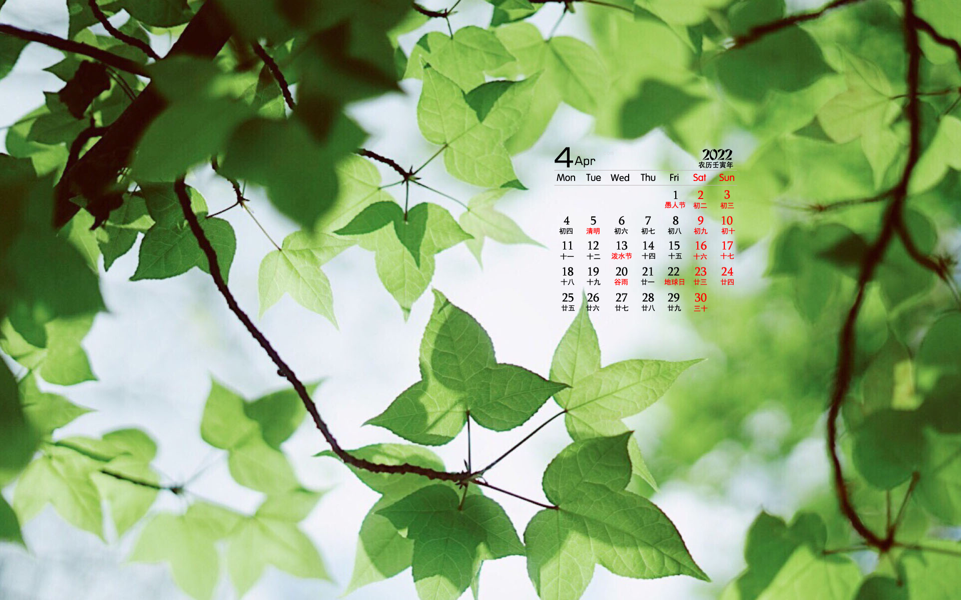 2022年4月夏日草地绿叶护眼桌面日历壁纸