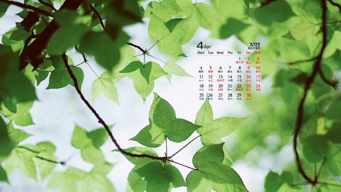 April 2022 summer grass green leaves eye protection desktop calendar wallpaper