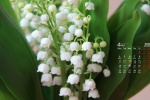 April 2022 plain and elegant flowers and plants calendar wallpaper