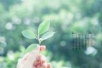 2021年6月小清新綠植花卉桌麵日曆壁紙