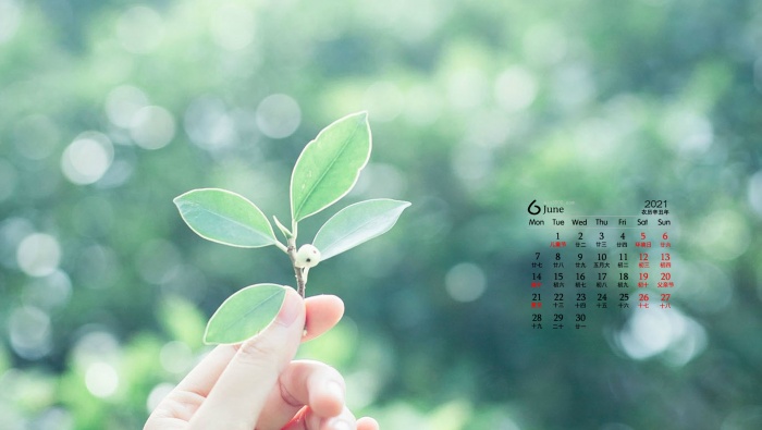 June 2021 small fresh green plants and flowers desktop calendar wallpaper