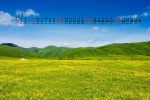 April 2021 Qingqing Prairie Eye Protection Desktop Calendar Wallpaper