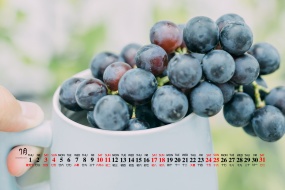 July 2021 food and beauty desktop calendar wallpaper