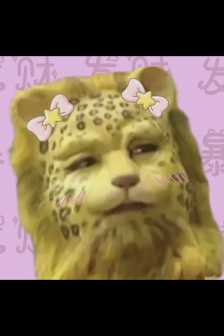 Journey to the West Leopard Lucky Mobile Wallpaper