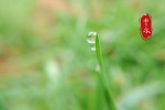 Traditional solar term rain picture wallpaper