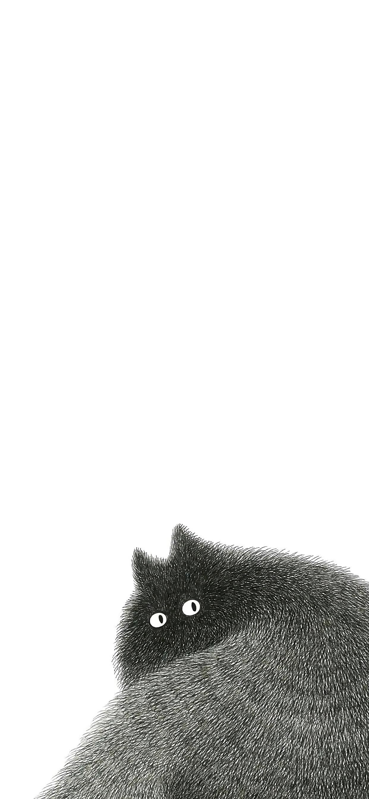 煤球猫咪主题手机壁纸