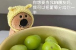 你想要当我的朋友吗，我可以把葡萄分你一半