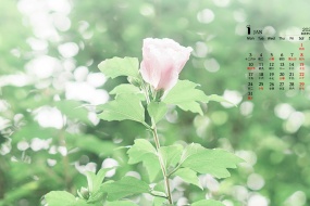 January 2022 small fresh natural scenery calendar wallpaper