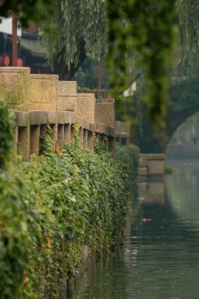 Misty Jiangnan scenery mobile wallpaper