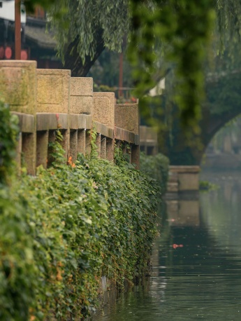 Misty Jiangnan scenery mobile wallpaper