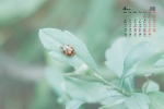 Simple and fresh desktop calendar wallpaper for April 2022