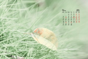 Simple and fresh desktop calendar wallpaper for September 2021