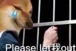 please let我 out
