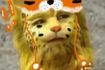 Popular leopard avatar picture selection