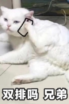 猫咪打电话表情包