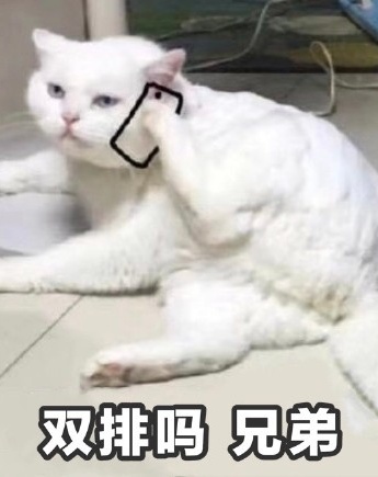 Cat talking on the phone emoticon pack