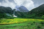Daocheng Yading scenery pictures