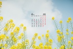 2022年4月清新春天花朵高清日历壁纸