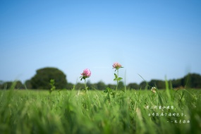 九月你好带字图片高清壁纸