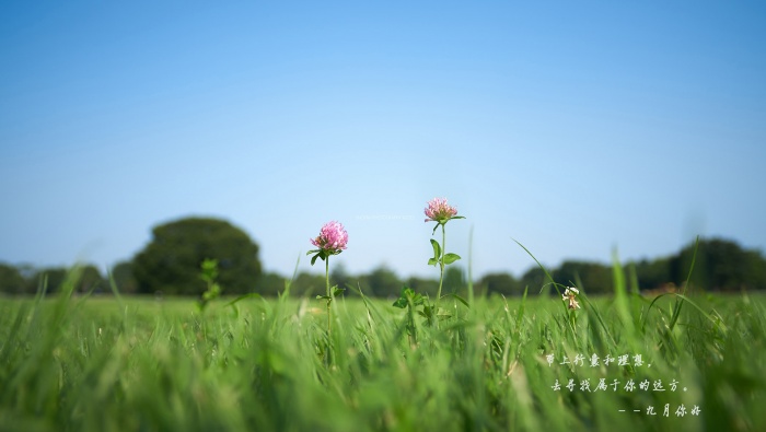 九月你好帶字圖片高清壁紙
