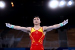 Liu Yang wins men's rings gold medal