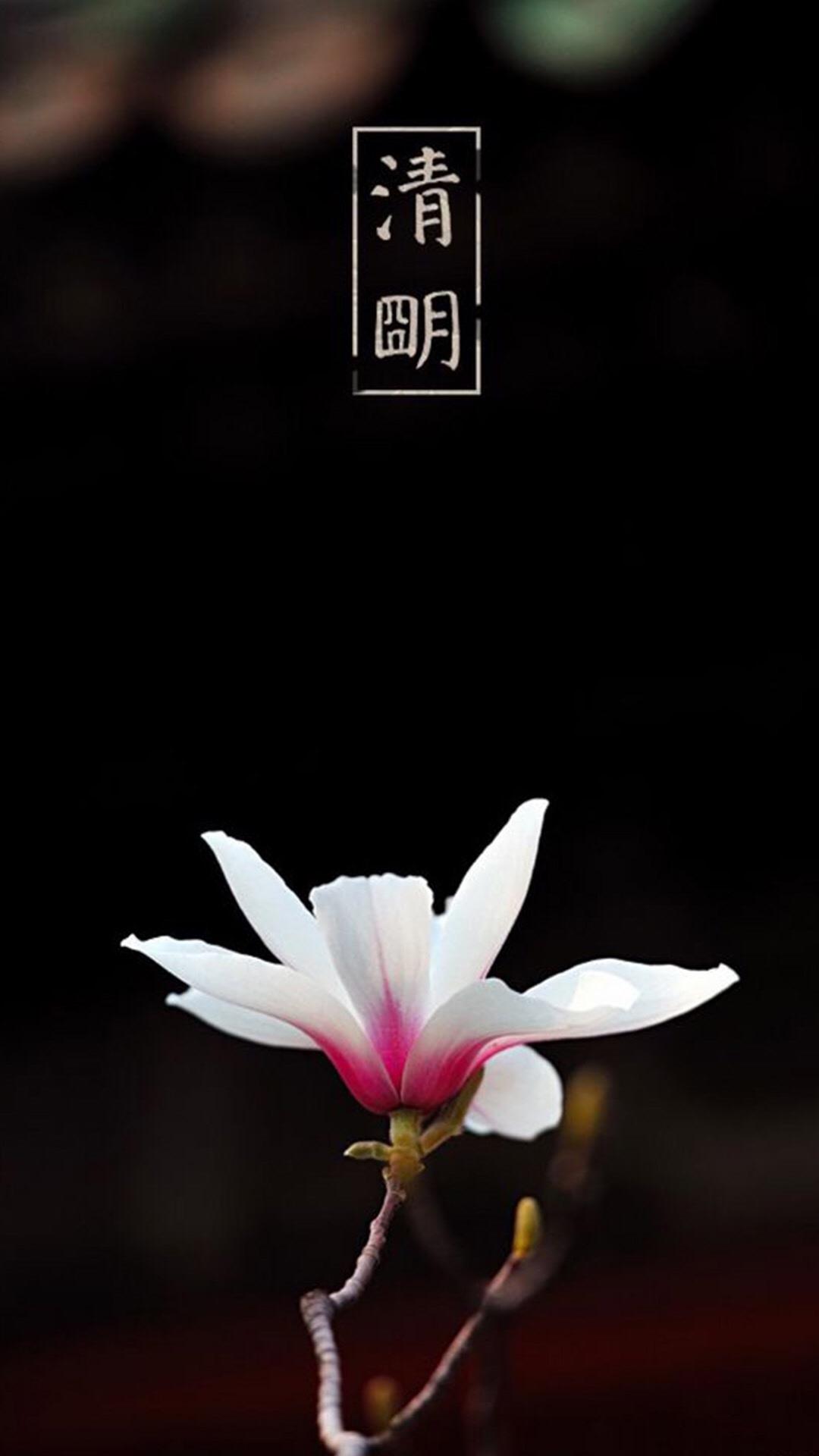 清明时节之花卉植物手机壁纸