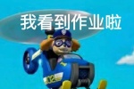 我看到作业啦