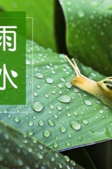 雨水节气唯美图片高清