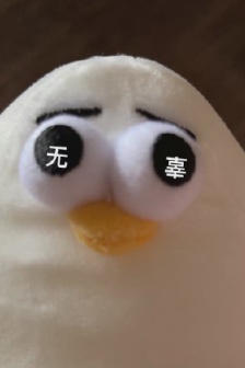 丹麥海鷗oddy表情包總結