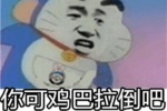 你可鸡巴拉倒吧，就你屁话多~