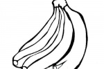 香蕉簡筆畫圖片