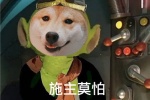 Shiba Inu version of New Journey to the West funny emoticon pictures