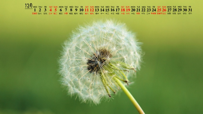 December 2021 eye protection dandelion calendar wallpaper