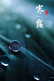 傳統節氣寒露手機壁紙