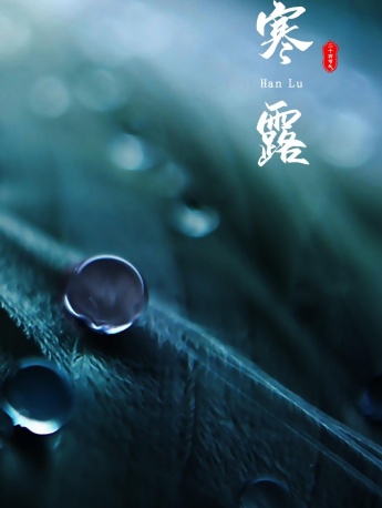 Traditional solar term cold dew mobile wallpaper