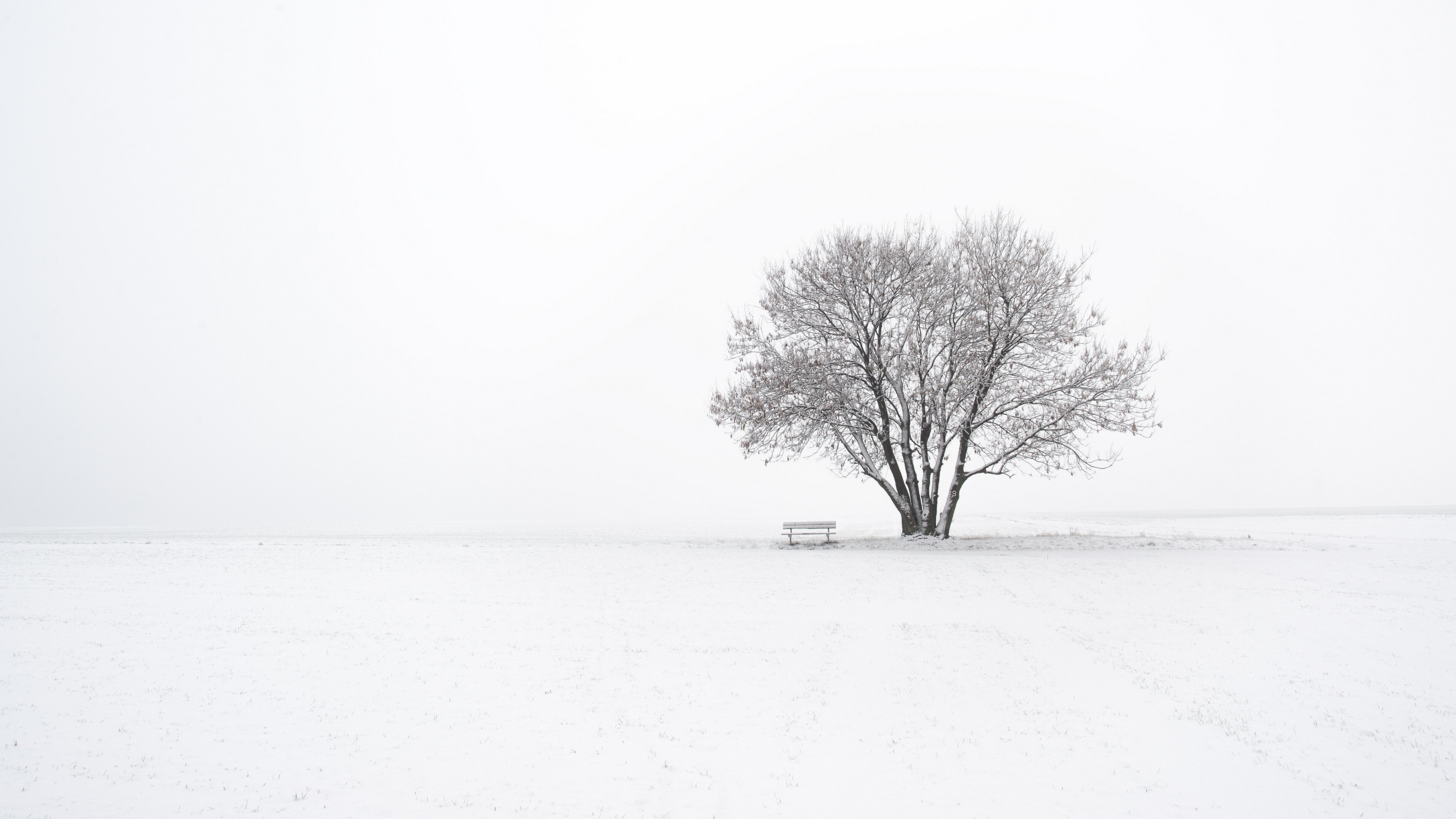 冬季皑皑白雪风景桌面壁纸