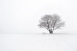 Winter snowy landscape desktop wallpaper