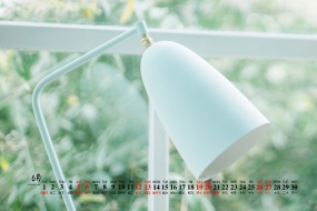 2021年6月綠色小清新桌麵日曆壁紙