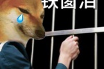 狗狗铁窗泪表情包