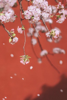 Ancient architectural style architectural photography wallpaper