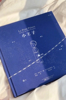 《The Little Prince》Classic Quotations Pictures