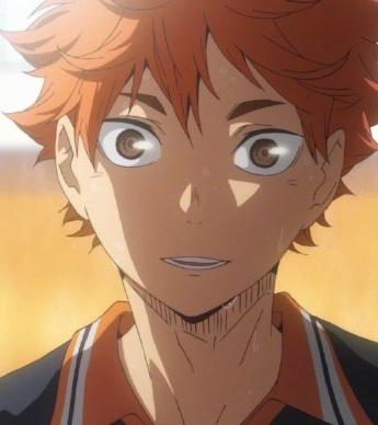 排球少年日向翔陽的生日賀圖