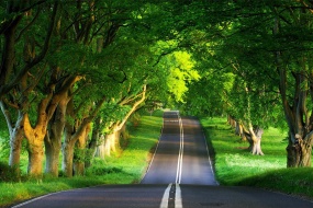 Small fresh scenery desktop wallpaper during the Great Summer Festival